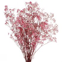 Artikel Gypsophila pluizig gipskruid in bes L50cm 55g