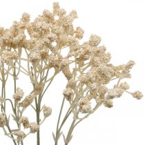 Artikel Gypsophila Kunstcreme Gypsophila 46cm bos van 3 stuks