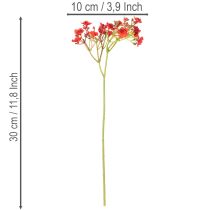 Artikel Kunstmatig gipskruid, rood, boeket als bloemdecoratie, 30 cm, 10 stuks