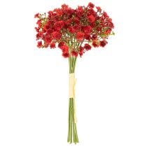 Artikel Kunstmatig gipskruid, rood, boeket als bloemdecoratie, 30 cm, 10 stuks