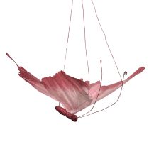Artikel Grote hangende vlinderdecoratie, elegante wanddecoratie, 50 cm, 2 stuks