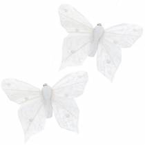 Veer vlinder op clip wit 10 cm 12 stuks