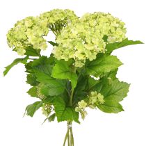 Artikel Sneeuwbal kunstbloemen Viburnum kunstgroen 61cm 4 stuks
