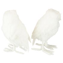 Artikel Decoratieve sneeuwuil, wit met vacht en veren, 15,5 cm, 2 stuks