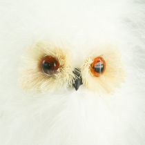 Artikel Sneeuwuil op houten stok 7cm L28cm 6 st