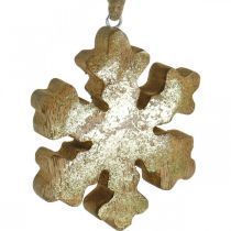 Artikel Sneeuwvlok mangohout naturel, gouden sneeuwkristal Ø10cm 6st