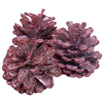Zwarte dennenappels rood natuurlijke decoratie mat 5–7cm 1kg