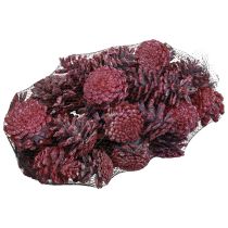 Artikel Zwarte dennenappels rood natuurlijke decoratie mat 5–7cm 1kg
