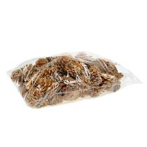 Artikel Zwarte dennenappels decoratieve kegels crème 5-8cm 1kg