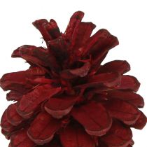 Artikel Zwarte dennenappels Bordeaux decoratieve kegels rood 6-8cm 6 st