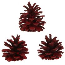 Artikel Zwarte dennenappels Bordeaux decoratieve kegels rood 6-8cm 6 st