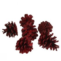Artikel Zwarte dennenappels Bordeaux decoratieve kegels rood 6-8cm 6 st