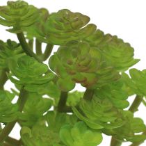 Artikel Kunstplanten in pot Succulent Kunst Groen H15cm