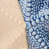Artikel Zeester Porselein Zandblauw Tafeldecoratie Maritiem Ø15cm 2st