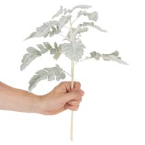 Artikel Kunstmatige Senecio-tak, zilverblad, fijn bewerkt, 45 cm, 3 stuks
