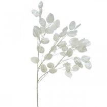 Siertak bladzilver wit Lunaria kunsttak 70cm