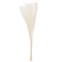 Artikel Gedroogde bloemen, zilvergras. Elegante natuurlijke decoratie voor thuis en op kantoor. 70 cm, 10 stuks.