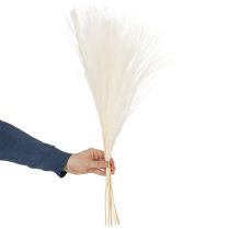 Artikel Gedroogde bloemen, zilvergras. Elegante natuurlijke decoratie voor thuis en op kantoor. 70 cm, 10 stuks.