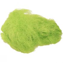 Artikel Sisal lentegroen siergras 300g