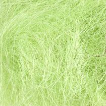 Artikel Sisal May Groene Decoratieve Natuurlijke Vezel Sisal Vezel 300g