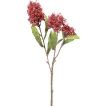 Artikel Skimmie Skimmia Japonica Kunstbloemen Bordeaux DryLook L59cm