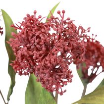 Artikel Skimmie Skimmia Japonica Kunstbloemen Bordeaux DryLook L59cm