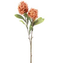 Artikel Skimmie Skimmia Japonica Kunstbloemen Oranje DryLook L59cm