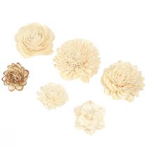 Artikel Sola Flowers Hout Houten Bloemen Decoratie Mix Crème 6-11cm 12-15 st