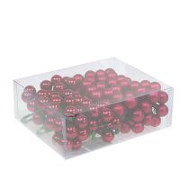 Artikel Spiegel bessen rood mix Ø25mm 140 st