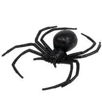 Spin zwart 16cm met mica