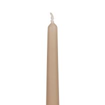 Artikel Conische kaarsen Wenzel kaarsen beige 250/23mm 12 st