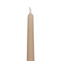 Artikel Conische kaarsen Wenzel kaarsen beige 250/23mm 12st