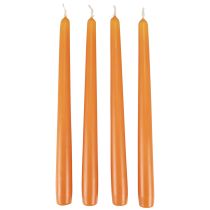 Artikel Conische kaarsen Wenzel kaarsen oranje 250/23mm 12 st