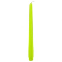 Artikel Conische kaarsen 250/23 lichtgroen 12 st.