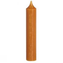 Artikel Taper kaarsen korte waskaars in karamel 21x110mm 6 st