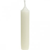 Staafkaarsen kort Kaarsen creme voor arrangementen Ø22/110mm 6st