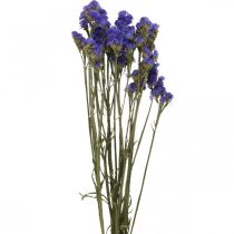 Bosje Zee Lavendel, Gedroogde Bloemen, Zee Lavendel, Statice Tatarica Blauw L46–57cm 23g