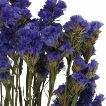 Bosje Zee Lavendel, Gedroogde Bloemen, Zee Lavendel, Statice Tatarica Blauw L46–57cm 23g