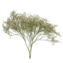 Artikel Lamsoor Statice Tatarica gedroogde bloemen natuurlijk 2kg