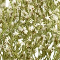 Artikel Lamsoor Statice Tatarica gedroogde bloemen natuurlijk 2kg