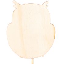 Artikel Houten uilenplantenstekers voor bloemenboeketten en bloempotten, 31 cm, 12 stuks
