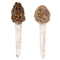 Artikel Kunstmatige morieljes als decoratieve stokjes voor plantenpotten en tafel, 13 cm, 2 stuks