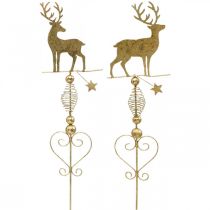 Decoratie pluggen rendier goud antiek look H58cm 2st