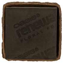 Artikel Bloemensteekschuim 1/2 blok OASIS® Renewal® Biolit® 12 cm 2 stuks