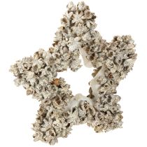 Artikel Ophangster kerstdecoratie wit, glitter Ø15cm