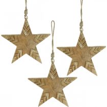 Artikel Ster mangohout naturel, gouden houten ster Kerstmis 19,5cm 3 st