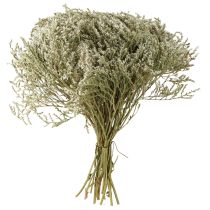 Artikel Gedroogde bloemen, strandlavendel, statice, 2 kg, natuurlijke decoratie
