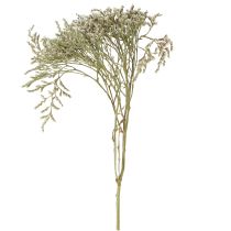 Artikel Gedroogde bloemen strandlavendel Statice 2kg natuurlijke decoratie