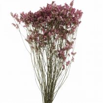 Statice, Zee Lavendel, Gedroogde Bloem, Wildflower Bos Roze L52cm 23g