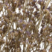 Artikel Strand Lila Limonium Gedroogde Bloemen Paars 70cm 50g